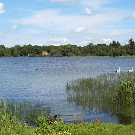 5 Star Holiday Home In Ansager *
